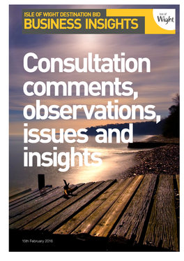 BUSINESS INSIGHTS Consultation Comments, Observations, Issues and Insights