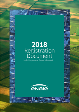 Registration Document Including Annual Financial Report Summary