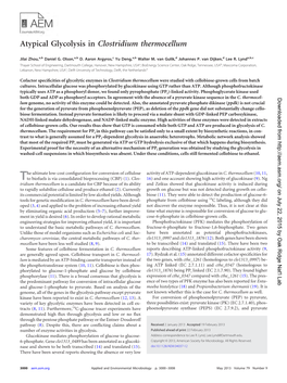 Atypical Glycolysis in Clostridium Thermocellum