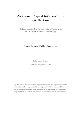 Patterns of Symbiotic Calcium Oscillations