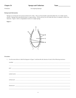 Sponges and Cnidarians Name ______