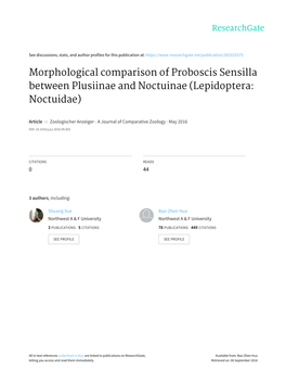 Morphological Comparison of Proboscis Sensilla Between Plusiinae and Noctuinae (Lepidoptera: Noctuidae)