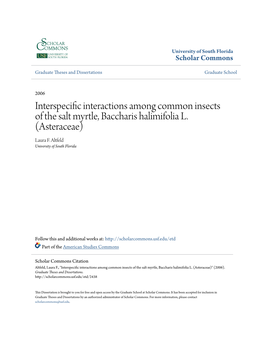 Interspecific Interactions Among Common Insects of the Salt Myrtle, Baccharis Halimifolia L