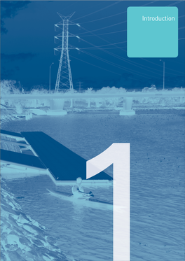 Introduction INTRODDUCTION 1.1 WHY THESE GUIDELINES ARE NEEDED the Maribyrnong River Is One of Melbourne’S Most Treasured and Well-Used Rivers