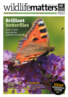 Brilliant Butterflies How to Make Your Garden Butterfly-Friendly8