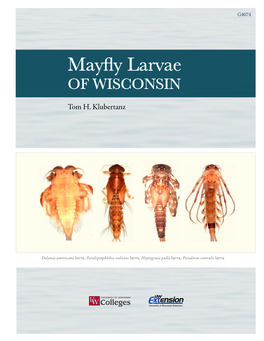 Mayfly Larvae of Wisconsin (G4074) I-06-2016