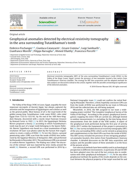 Geophysical Anomalies Detected by Electrical Resistivity Tomography in the Area Surrounding Tutankhamun’S Tomb