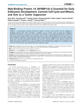 Myb-Binding Protein 1A (MYBBP1A) Is Essential for Early Embryonic Development, Controls Cell Cycle and Mitosis, and Acts As a Tumor Suppressor