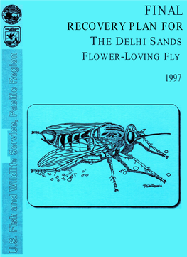 Recovery Plan for the Delhi Sands Flower-Loving Fly