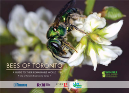 Bees of Toronto