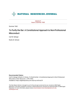 To Purify the Bar: a Constitutional Approach to Non-Professional Misconduct