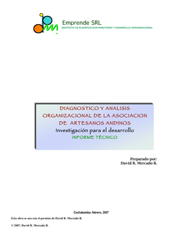 Emprende SR L INSTITUTO DE PLANIFICACION MONITOREO Y DESARROLLO ORGANIZACIONAL