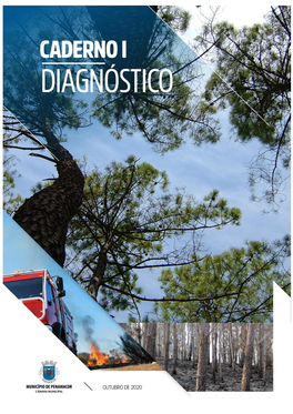 Caderno I Diagnostico.Pdf