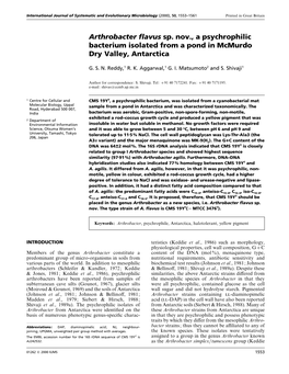 Arthrobacter Flavus Sp. Nov., a Psychrophilic Bacterium Isolated from a Pond in Mcmurdo Dry Valley, Antarctica