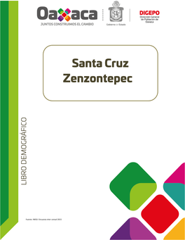 Santa Cruz Zenzontepec Región