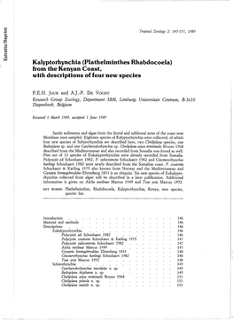 Kalyptorhynchia (Plathelminthes Rhabdocoela) from the Kenyan Coast, with Descriptions of Four New Species