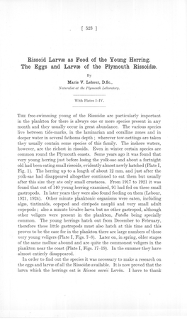 Rissoid Larvre As Food of the Young Herring. the Eggs and Larvre of the Plymouth Rissoidre