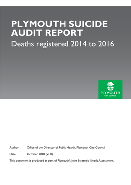 Plymouth Suicide Audit Report (2014 to 2016)