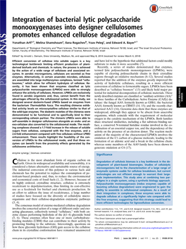 Integration of Bacterial Lytic Polysaccharide Monooxygenases Into Designer Cellulosomes Promotes Enhanced Cellulose Degradation