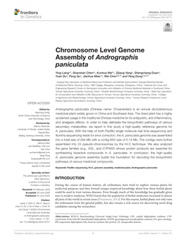 Chromosome Level Genome Assembly of Andrographis Paniculata