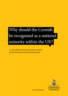 Cornish Minority Report 2014