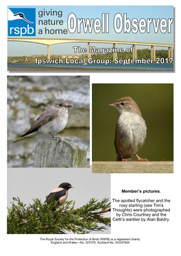 Member's Pictures. the Spotted Flycatcher and the Rosy Starling