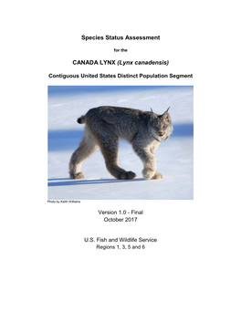 Species Status Assessment CANADA LYNX