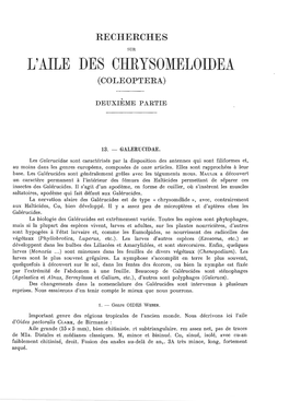 L'aile Des Chrysomeloidea (Coleoptera)