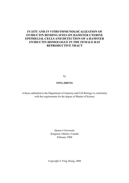 In Situ and in Vitro Immunolocalization of Oviductin, an Oviduc-Specific Glycoprotein, in the Hamster Uterine Epithelial Cells