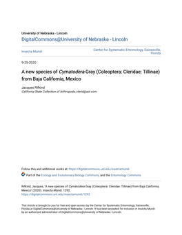 A New Species of <I>Cymatodera</I> Gray (Coleoptera: Cleridae: Tillinae