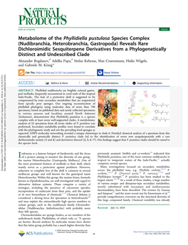 Metabolome of the Phyllidiella Pustulosa Species Complex