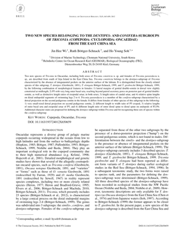 Two New Species Belonging to the Dentipes- and Conifera-Subgroups of Triconia (Copepoda: Cyclopoida: Oncaeidae) from the East Ch