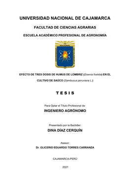 TESIS DINA DÍAZ CERQUÍN (1).Pdf (4.446Mb)