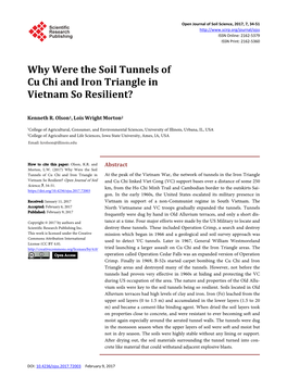 Why Were the Soil Tunnels of Cu Chi and Iron Triangle in Vietnam So Resilient?