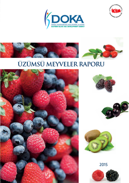 ÜZÜMSÜ MEYVELER RAPORU Rize Trabzon Giresun Ordu Artvin