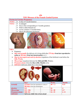 Foetus-In-Uterine-Pregnancy