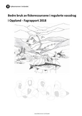 Fagrapport 2018