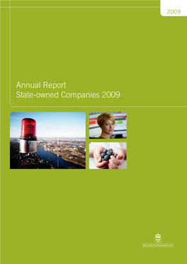 Annual Report State-Owned Companies 2009 B