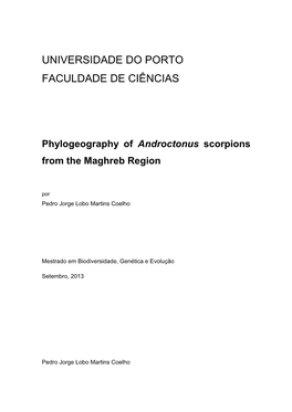 Phylogeography of Androctonus Scorpions from the Maghreb Region