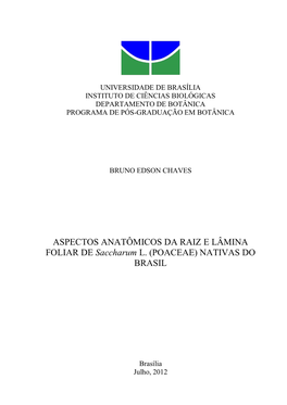 ASPECTOS ANATÔMICOS DA RAIZ E LÂMINA FOLIAR DE Saccharum L