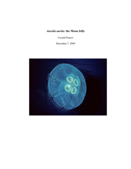 Aurelia Aurita: the Moon Jelly