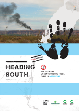 Heading South: the Dash for Unconventional Fossil Fuels in Argentina