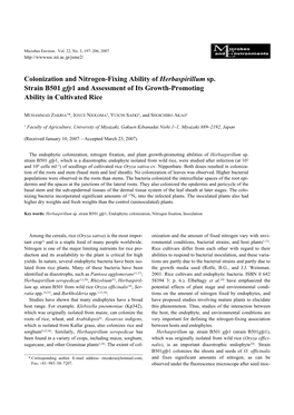 Colonization and Nitrogen-Fixing Ability of Herbaspirillum Sp. Strain B501 Gfp1 and Assessment of Its Growth-Promoting Ability in Cultivated Rice