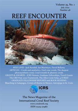 Reef Encounter