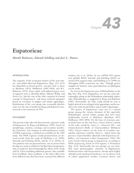Eupatorieae Harold Robinson, Edward Schilling and José L