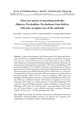 Three New Species of Non-Biting Moth Flies