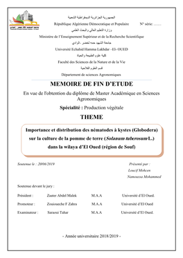 Memoire De Fin D'etude Theme