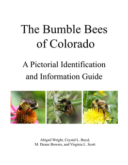 Bumble Bees of Colorado