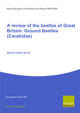 A Review of the Beetles of Great Britain: Ground Beetles (Carabidae)