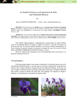 La Familia Iridaceae En La Provincia De Jaén (Sur Península Ibérica)